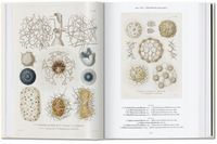 The Art and Science of Ernst Haeckel Willmann