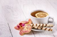 FOTOTAPETA kuchenna FILIŻANKA HERBATY 200x130