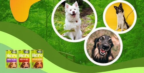 Mokra karma dla psa Hero MIX SMAKÓW kawałki w galaretce 24 x 400g 9,6 kg na Arena.pl