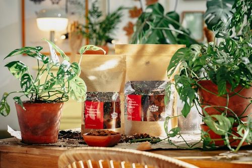 Ziemia do MONSTER, FILODENDRONA, ALOKAZJI, ANTHURIUM EPI 5L bigos, na Arena.pl