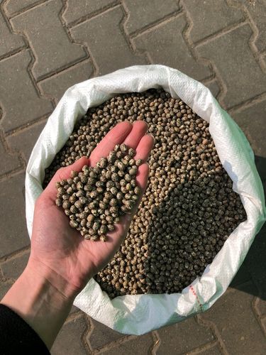 Łubin wąskolistny 25kg GORZKI na Arena.pl