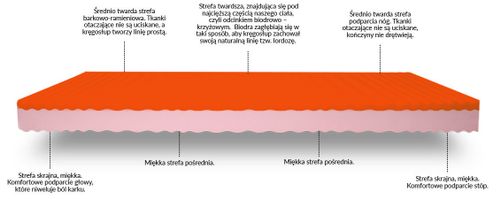 Materac TermoZone 7-stref Memory 19 cm Rozmiar - 90x200 na Arena.pl