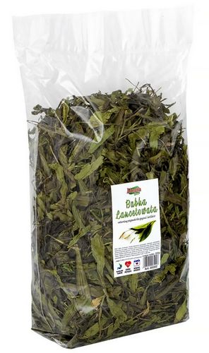Alegia Babka lancetowata 300g na Arena.pl