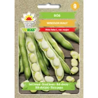 Bób WINDSOR BIAŁY 50g