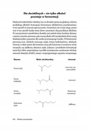 Whiskey Amerykańska na Arena.pl