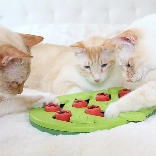 Nina Ottosson Cat Buggin' Out Puzzle & Play na Arena.pl