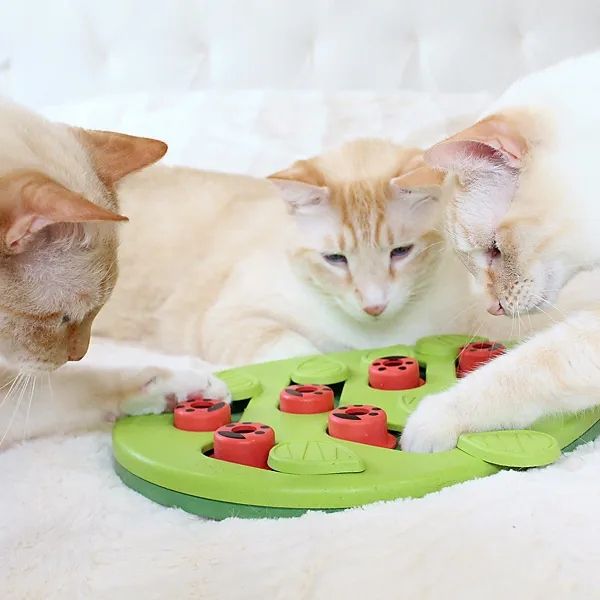 Nina Ottosson Cat Buggin' Out Puzzle & Play zdjęcie 3