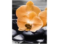 40X50CM POMARAŃCZOWE STORCZYKI OBRAZ