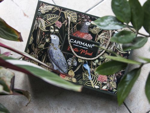 Kpl. 2 kubków - Exotic mood (CARMANI) na Arena.pl