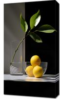 Obraz 40x70cm Cytrusowa Aranżacja