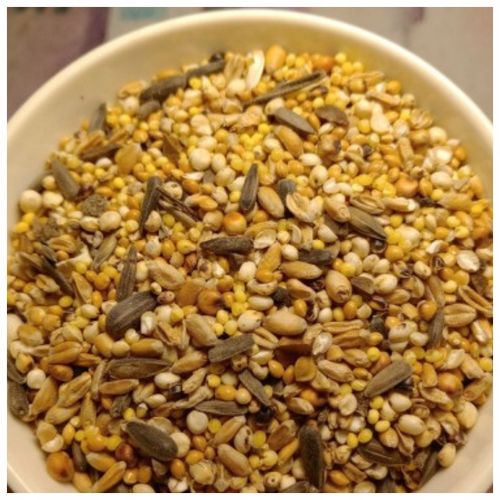 KARMA DLA PTAKÓW DZIKICH ZIMUJĄCYCH POKARM ZIARNO IDEALNY DO KARMNIKA 10KG na Arena.pl