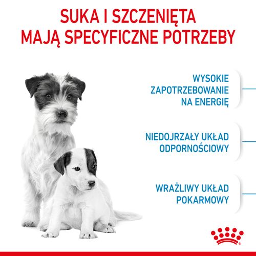 royal canin mini starter 1kg na Arena.pl