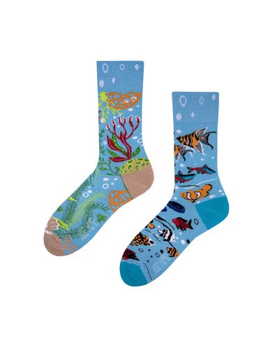 Skarpety Spox Sox Akwarium multicolor 40-46 na Arena.pl