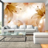 product-compare-63631907