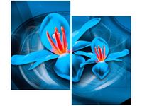 80X70CM NIEBIESKIE KOSMICZNE KWIATY JAKUB BANAŚ DUO OBRAZ