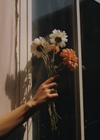 product-compare-59366771