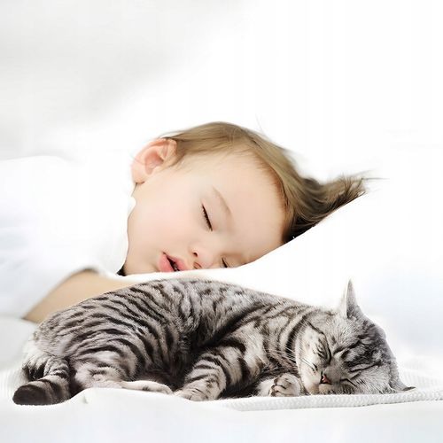 Poidełko Automatyczne Fontanna Wodna dla Kota Psa Miska Ciche Poidło +Filtr na Arena.pl