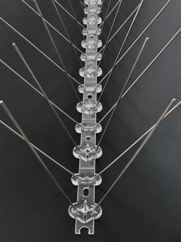 Kolce na ptaki na Arena.pl