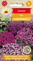 Żagwin mix nasiona 0,3 g. na skalniak