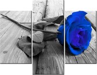 product-compare-58711012