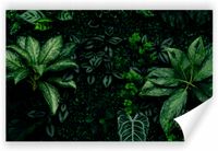 Fototapeta PREMIUM STRUKTURA ZMYWALANA ciemnozielone liście tropikalne