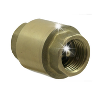 ZAWÓR ZWROTNY FI 5/4" CAL DN32 MOSIĘŻNY TRZPIEŃ GRZYBEK Z TŁUMIKIEM PREMIUM