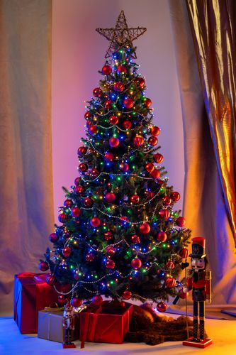 Choinka Świerk Leśny 220cm na Arena.pl