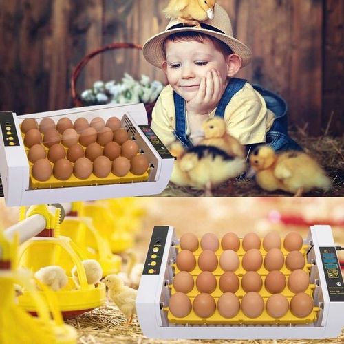 INKUBATOR KLUJNIK DO JAJ WYLĘGU DROBIU do 35 jajek na Arena.pl