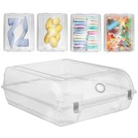 Pojemnik na Buty Organizer do Szafy Pudełko Zamykane na Obuwie