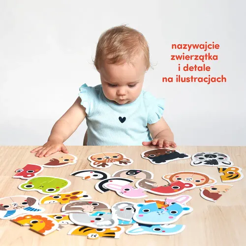 Czuczu. Pierwsze Puzzle Buzie na Arena.pl