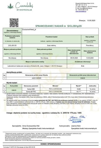 Susz konopny Jack Herer CBD 1000g na Arena.pl
