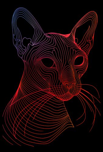 Plakat 40x60cm Cyfrowa Kocica na Arena.pl