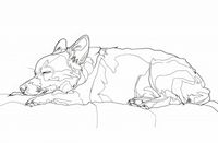 Plakat 86,4x56,8cm Śpiący Psiak