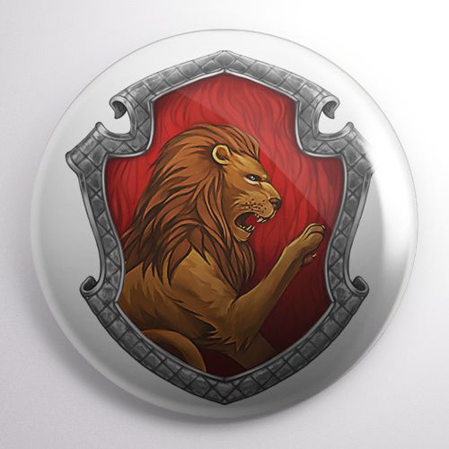 Przypinka Harry Potter na Arena.pl