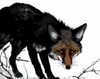 Plakat 76x60,5cm Nieufny Lis