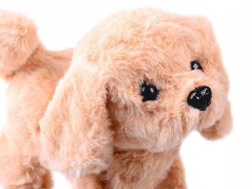 Interaktywny PIES pluszowy PIESEK salon SPA transporter na Arena.pl