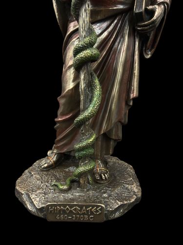 HIPOKRATES VERONESE  (WU77124A4) na Arena.pl