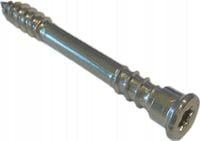 WKRĘT TARASOWY TERRASSOTEC STAL NIERDZEWNA A2 TX25 5.5 X 50 200 SZT.