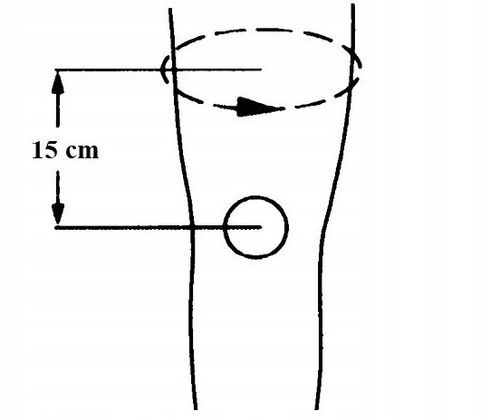 ORTEZA OPASKA NA KOLANO STABILIZATOR KOLANA RZEPKI na Arena.pl