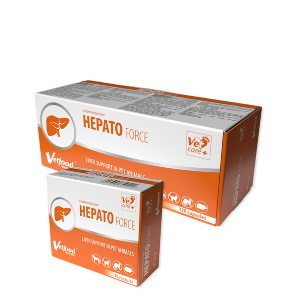 VETFOOD Hepatoforce 30tab zdjęcie 1