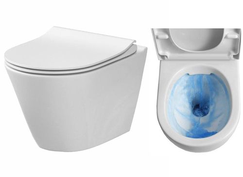 Misa WC Alan na Arena.pl
