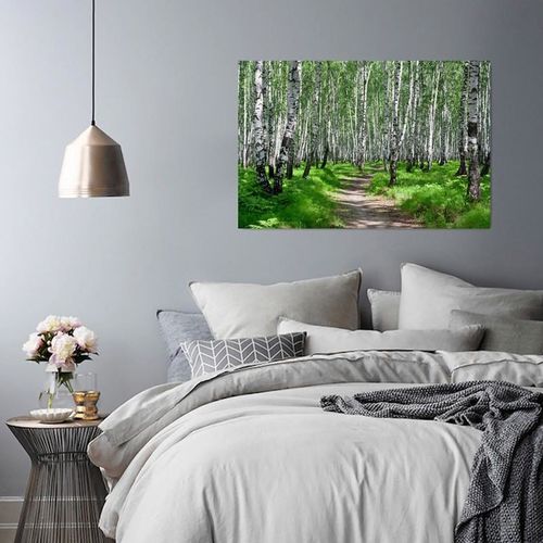 Obraz na płótnie - Canvas, Brzozowy las 2 80x60 na Arena.pl