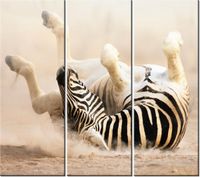 90CM 80 OBRAZ 3 ELEM ZEBRA ŚCIENNY