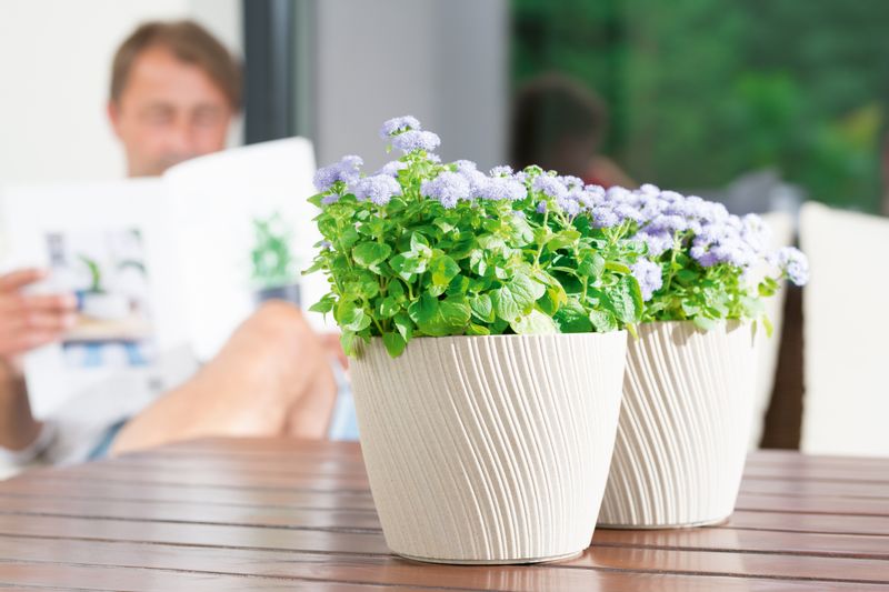 Doniczka okrągła Mika 15 z podstawką | Platyna, Kształt Okrągły, Wymiary 14.8x13.7 cm, Kolor Platyna, Form-Plastik zdjęcie 6