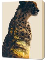 product-compare-59492456