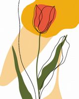 Plakat 40x50cm Przerysowany Tulipan