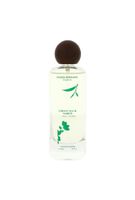 pierre bernard green tea & amber extrait de perfume 100ml