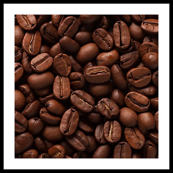 Plakat 60x60cm Esencja Aromatu zdjęcie 3