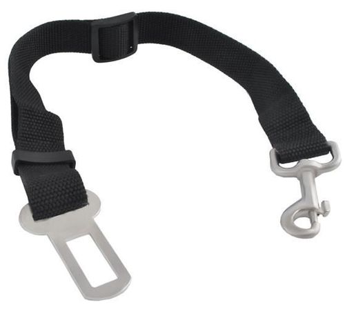 Pasy dla psa - smycz do samochodu na Arena.pl