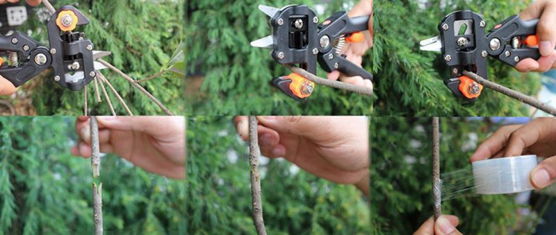 SEKATOR BLISTER NR:7031 zdjęcie 4